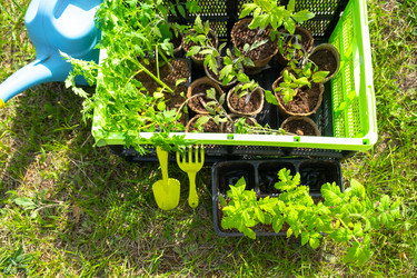 Similar image 21519693