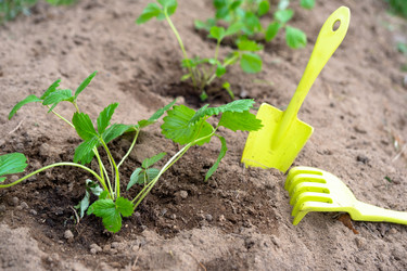 Similar image 21519696