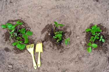 Similar image 21519697