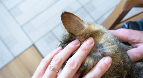 Similar image 21519700