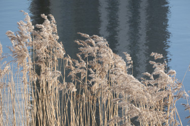 Similar image 21518376