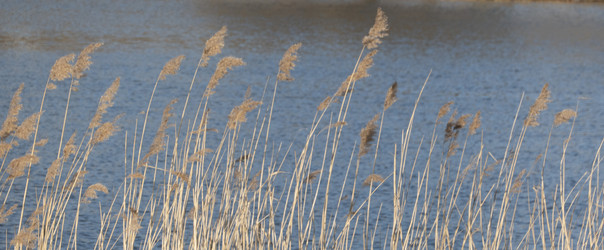 Similar image 21518377