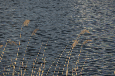 Similar image 21518379