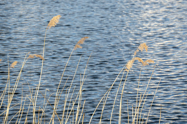 Similar image 21518380