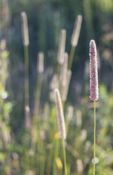 Similar image 21518384