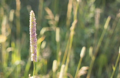 Similar image 21518385