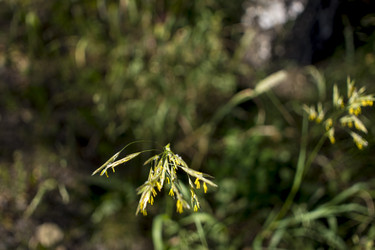 Similar image 21518387