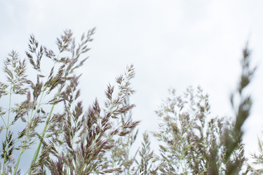 Similar image 21518388