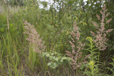 Similar image 21518390