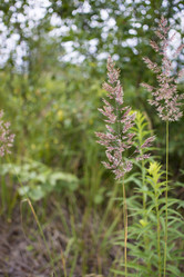 Similar image 21518391