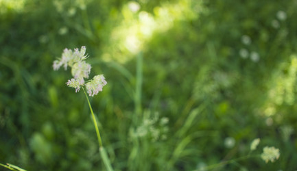 Similar image 21518392