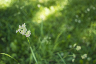 Similar image 21518393