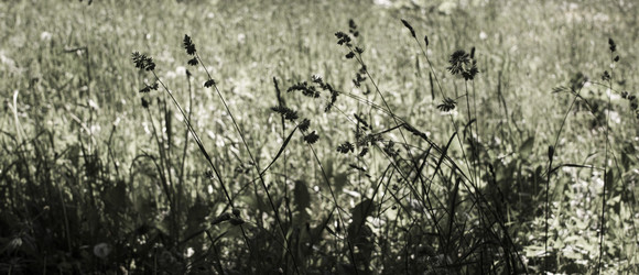 Similar image 21518394