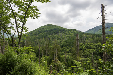 Similar image 21517955