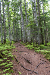 Similar image 21517956