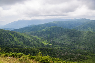 Similar image 21517957