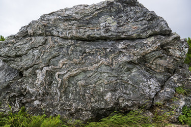 Similar image 21518662