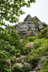 Similar image 21517958