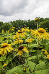 Similar image 21517959