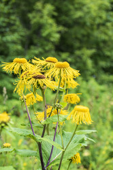 Similar image 21517960