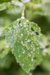 Similar image 21517961