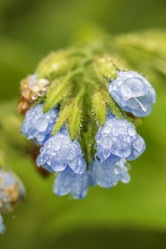 Similar image 21517962