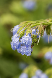 Similar image 21517963