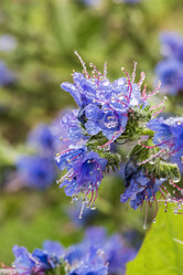 Similar image 21517965