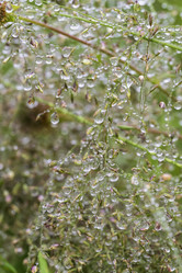 Similar image 21517967