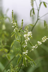 Similar image 21517968