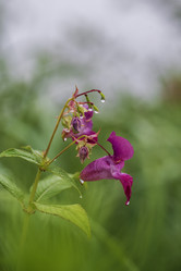 Similar image 21517969