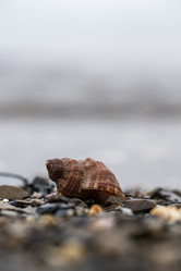 Similar image 21517970