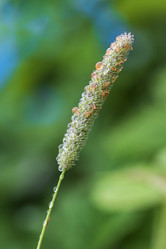 Similar image 21517971