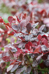 Similar image 21517972