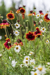 Similar image 21517973