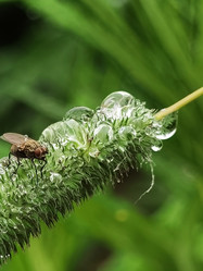 Similar image 21517975