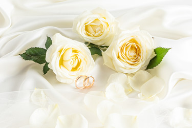 Similar image 21517725