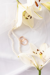 Similar image 21517732