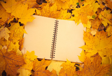 Similar image 21518198