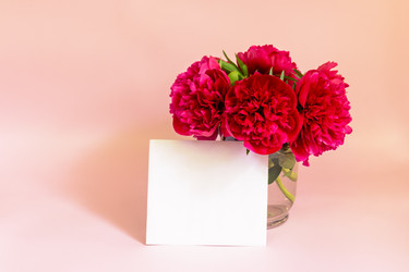 Similar image 21518203