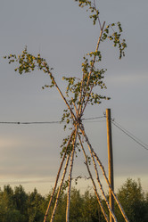 Similar image 21517988