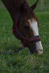 Similar image 21517991