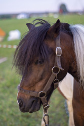 Similar image 21517993