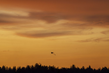 Similar image 21517995