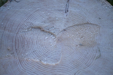 Similar image 21517999