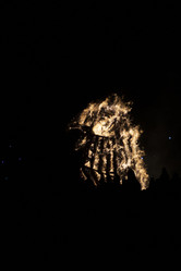 Similar image 21518001