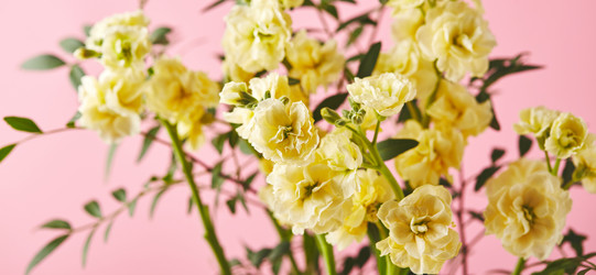 Similar image 21517700