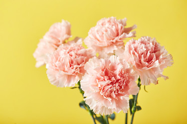 Similar image 21517701