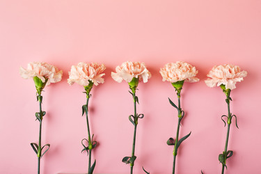 Similar image 21517702