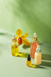 Similar image 21517710